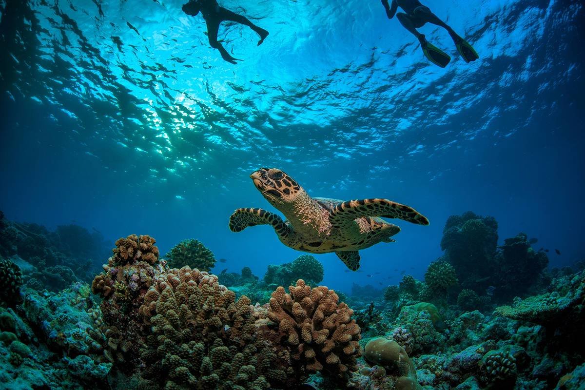 Lunas de miel en Oceania